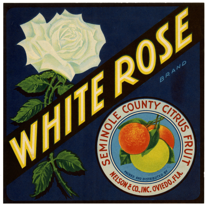 White Rose brand citrus crate label - Nelson & Company, Inc., Oviedo