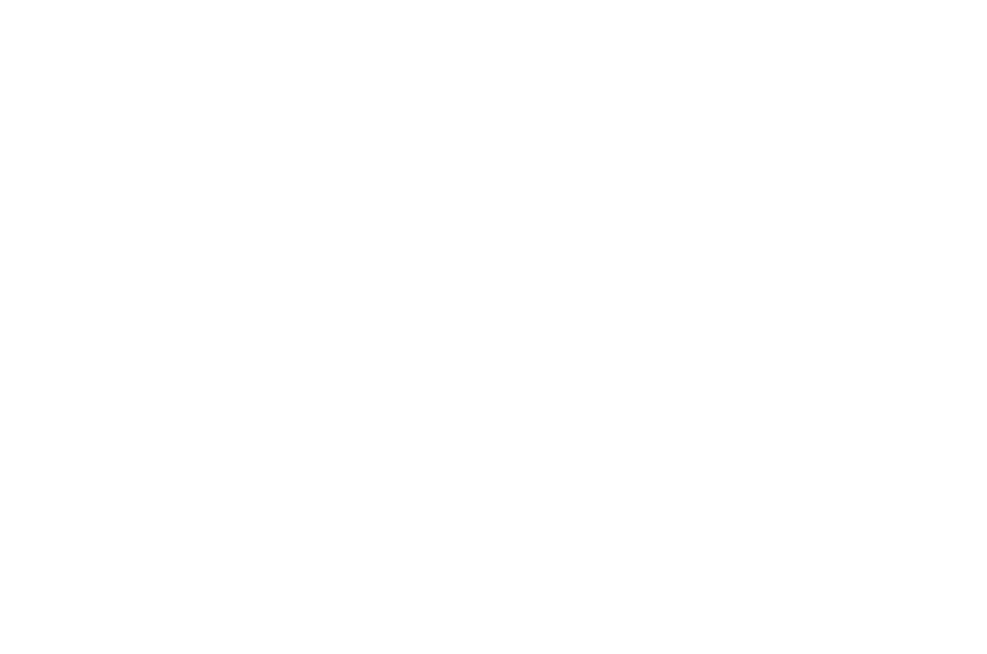Nelson & Company, Inc.